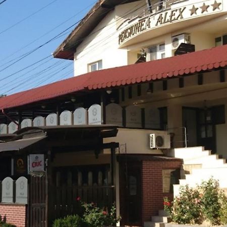 Vila Alex&Razvan Тулча Экстерьер фото